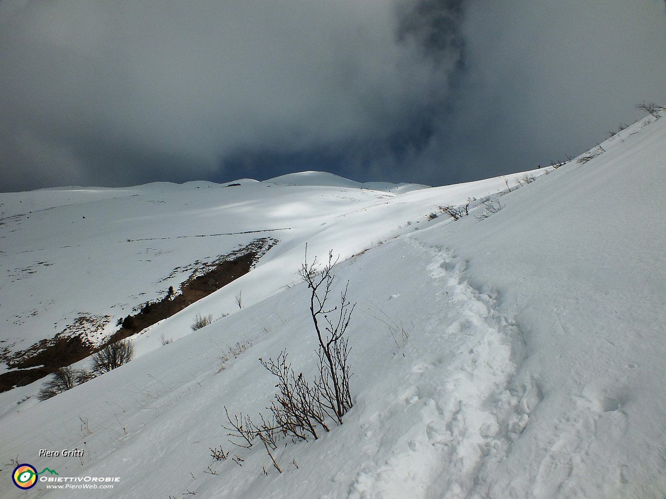 79 C'è chi rampa sulla neve ghiacciata!.JPG